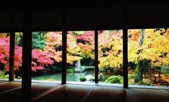 本当は教えたくない！秋の京都｢穴場紅葉スポット｣4つ