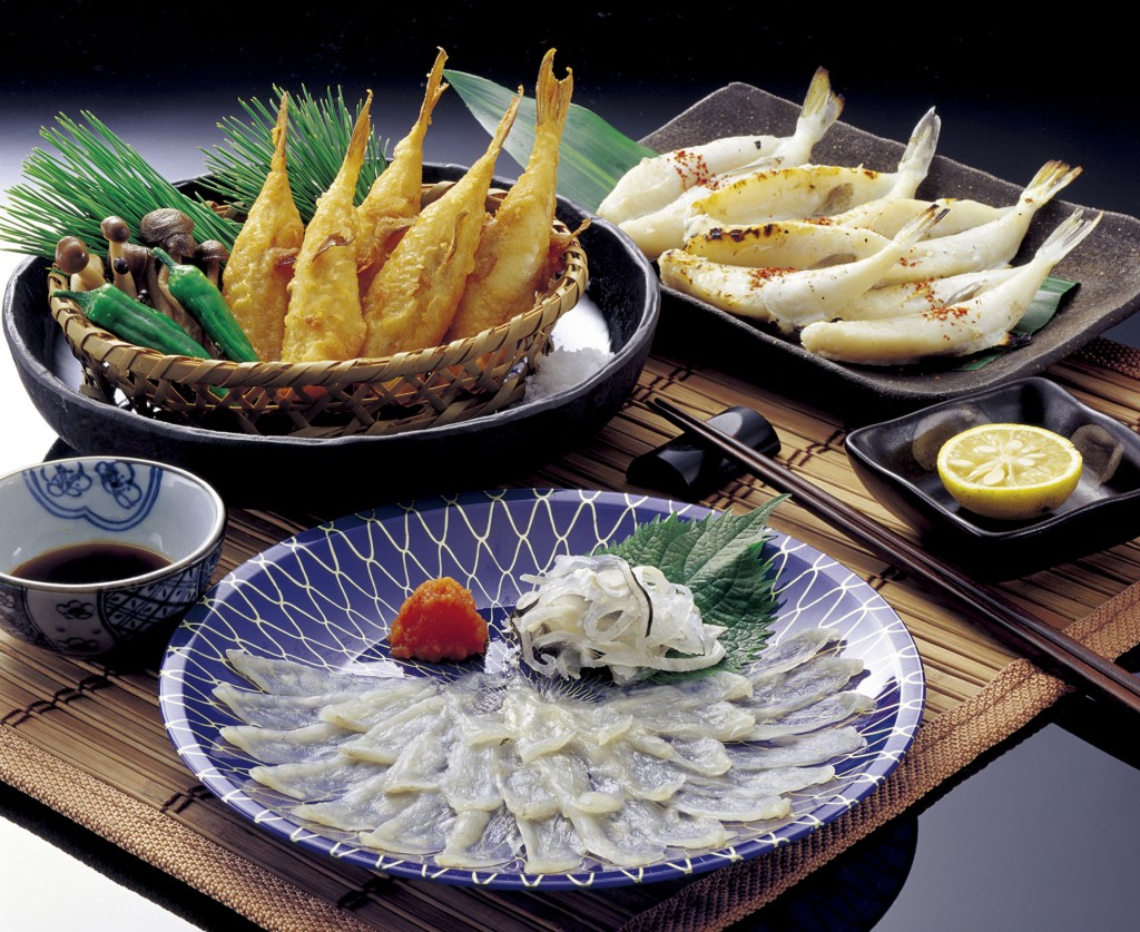 46848475 - the dried blowfish sashimi and fugu fried and fugu overnight