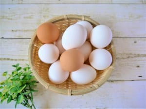 ヤセ体質になりたい！選ぶべきたんぱく質」3つ　(2)卵