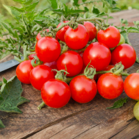 食べ方を変えて若返り効果UP！トマトの賢い食べ方＆レシピ