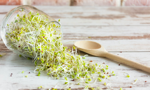 肌老化を防ぐ！？大注目の野菜の食べ方