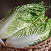 老化予防に◎水菜の効果的な食べ方