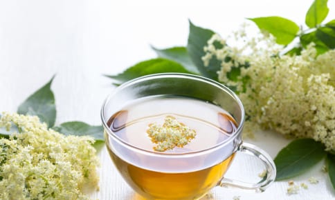 花粉によるストレスを軽減！花粉の時期に飲みたいお茶5選