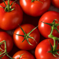 保存版！おいしい夏野菜｢トマト・なす・キュウリ｣の選び方