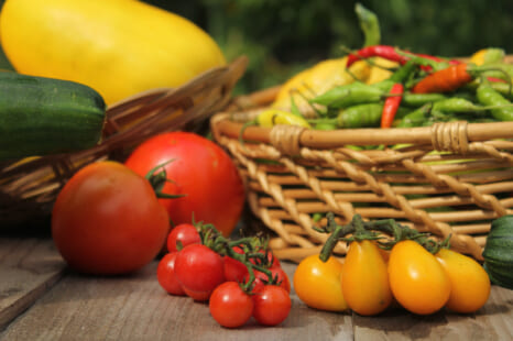 夏を戦い抜いたお疲れ肌に！ 肌が美しく＆元気になる旬の食材と食べ方